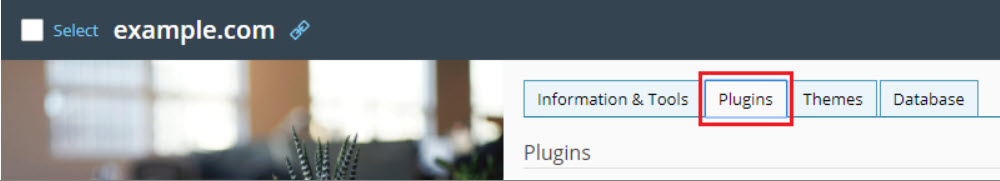 Hosting Wordpress Plugin
